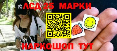 молекула духа Будённовск