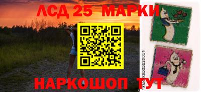 молекула духа Будённовск