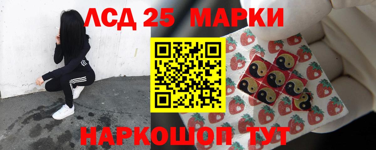 Лсд 25 экстази кислота  LSD-25 экстази кислота  Вход с VPN  Новодвинск 