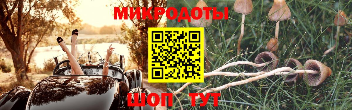 Псилоцибиновые грибы MAGIC MUSHROOMS Новодвинск