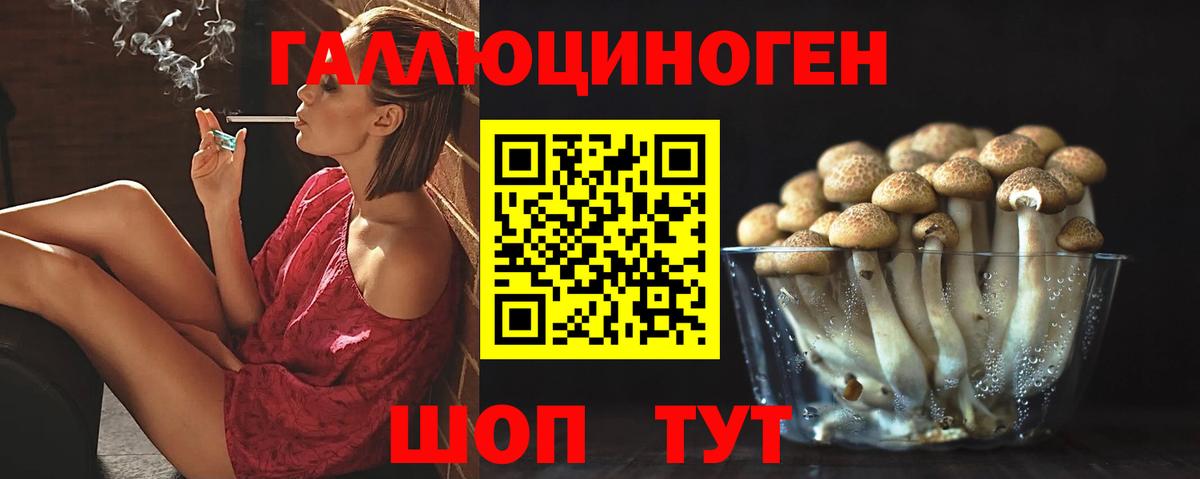 Новодвинск  Псилоцибиновые грибы Psilocybe  Галлюциногенные грибы Magic Shrooms  наркотики  Вход с VPN 