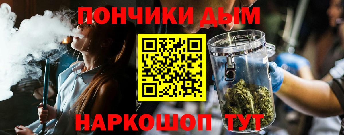 Каннабис план Новодвинск